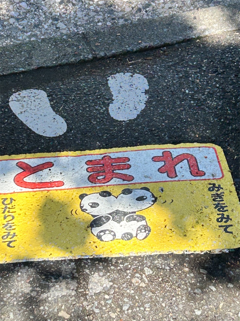 f:id:setsu-the-onee:20260428141554j:image