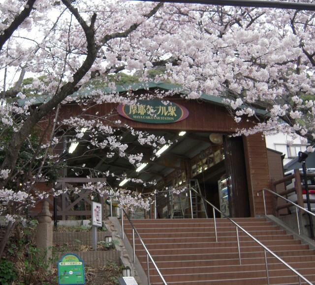 f:id:setsugekka55:20170409112103j:image f:id:setsugekka55:20170409112103j:image