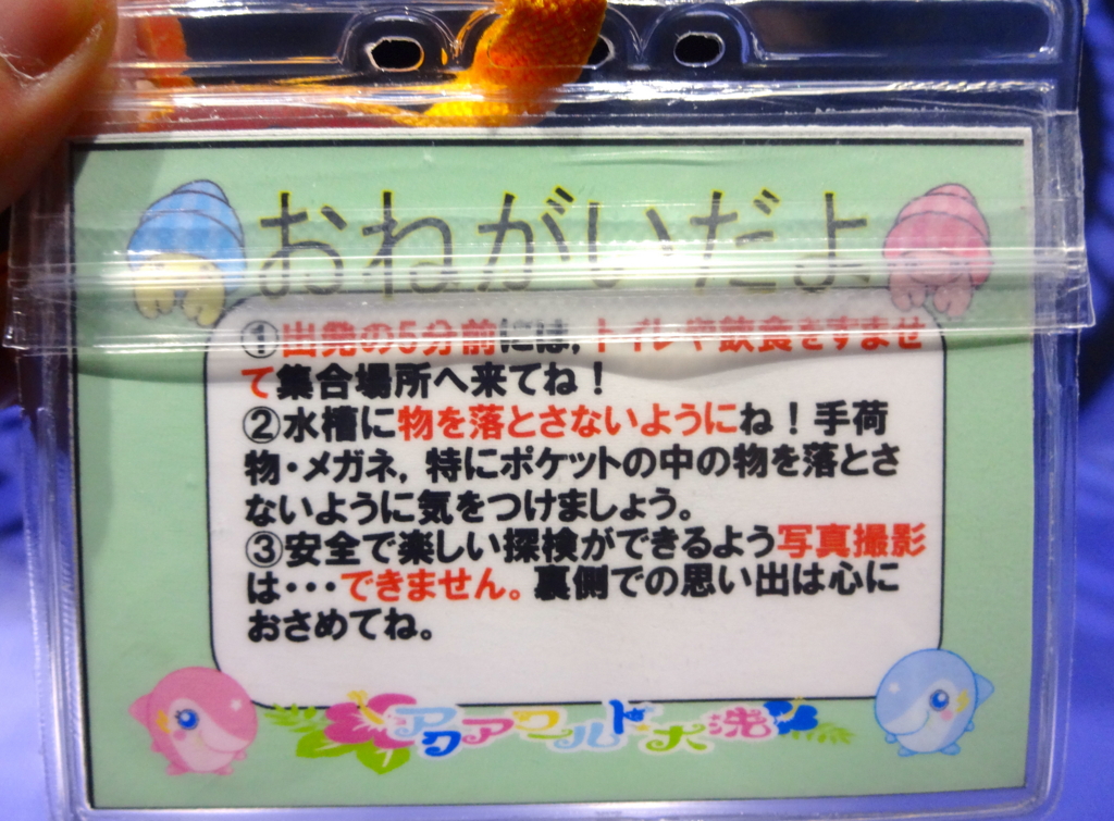 f:id:setsuyakufufu:20151103113049j:plain