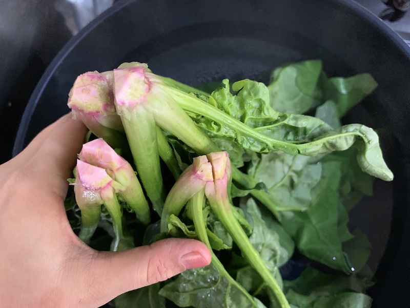 f:id:setsuyakufufu:20190419113106j:plain f:id:setsuyakufufu:20190419113106j:plain