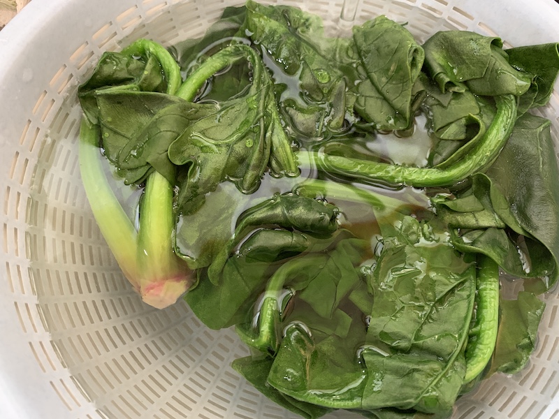 f:id:setsuyakufufu:20190419113118j:plain f:id:setsuyakufufu:20190419113118j:plain