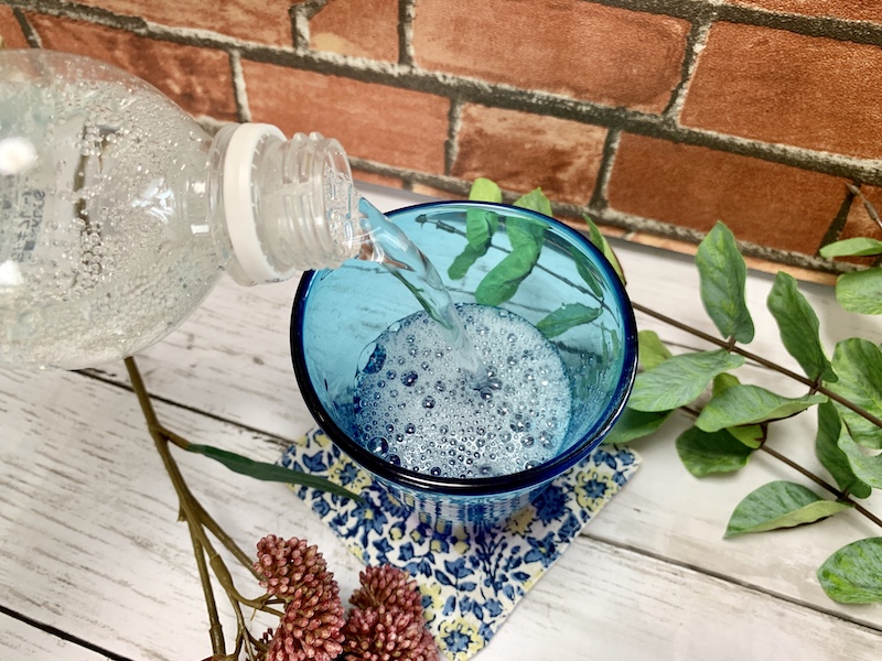 f:id:setsuyakufufu:20190712120629j:plain