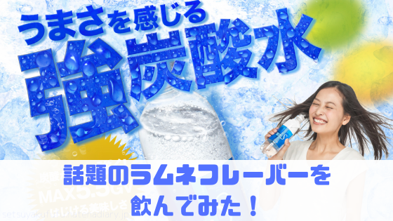 f:id:setsuyakufufu:20190712123512p:plain