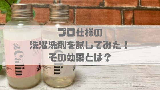 f:id:setsuyakufufu:20190814193118p:plain f:id:setsuyakufufu:20190814193118p:plain