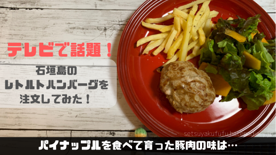 f:id:setsuyakufufu:20191203182623p:plain f:id:setsuyakufufu:20191203182623p:plain