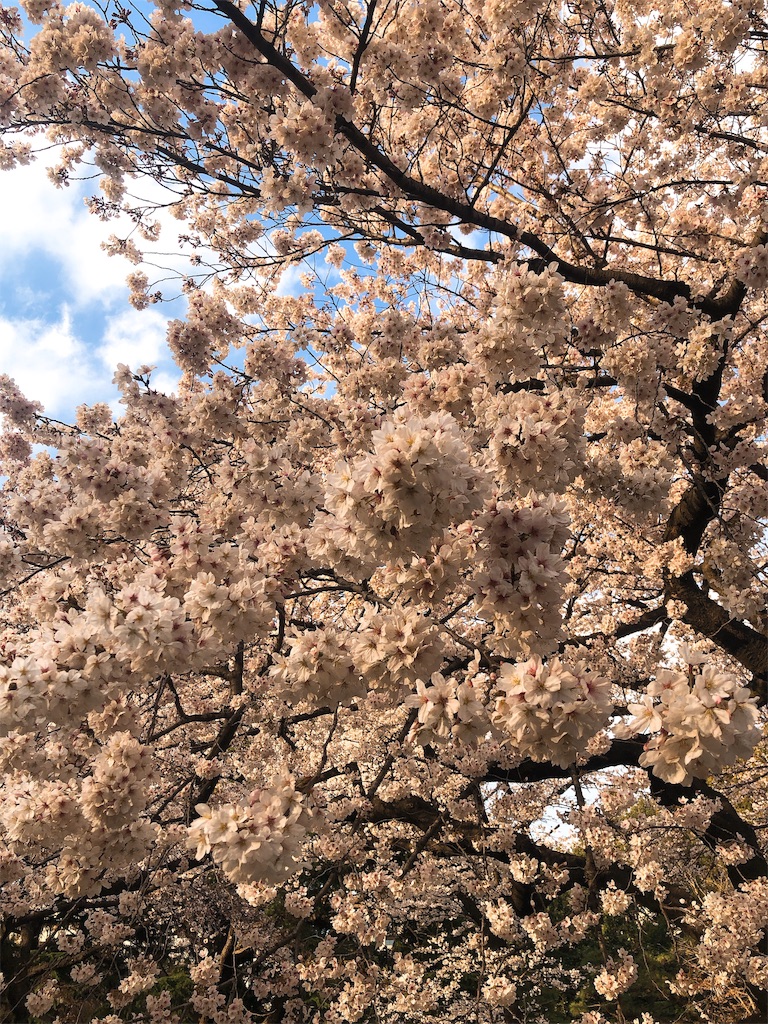 f:id:setsuyakukun:20190402123522j:image f:id:setsuyakukun:20190402123522j:image