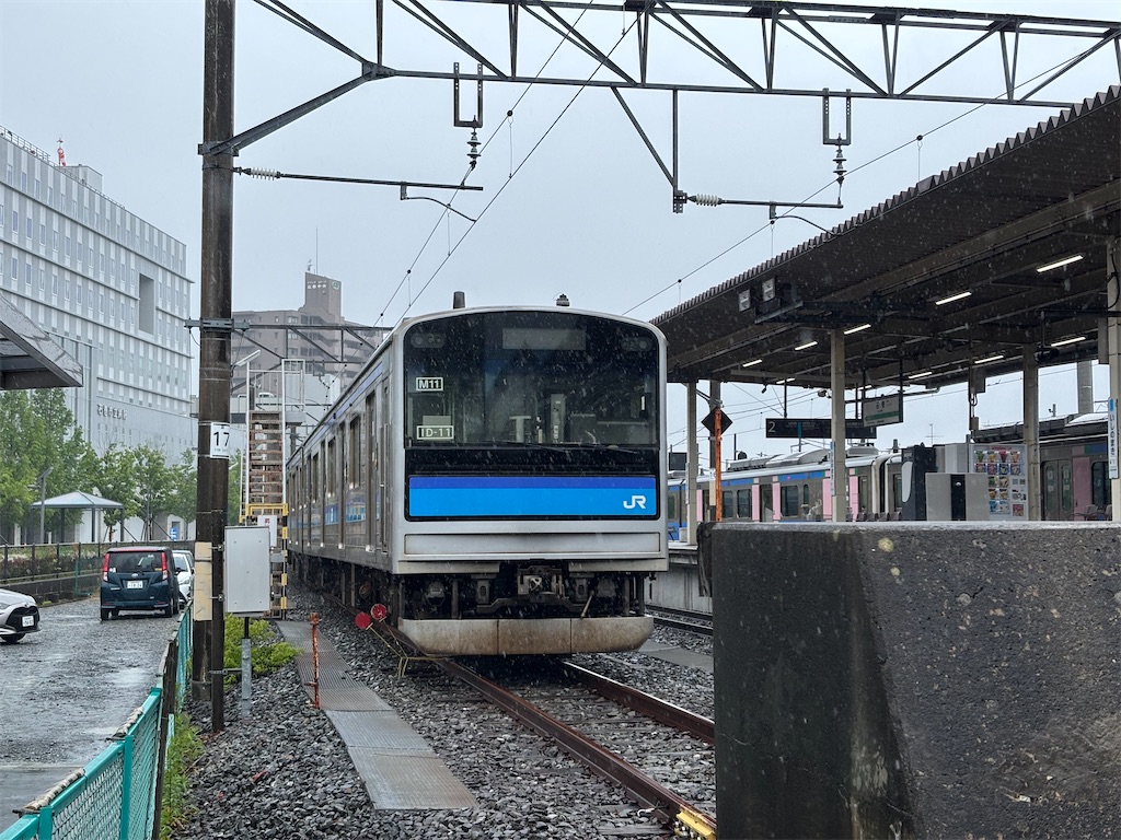 f:id:settonsan:20250601195446j:image f:id:settonsan:20250601195446j:image