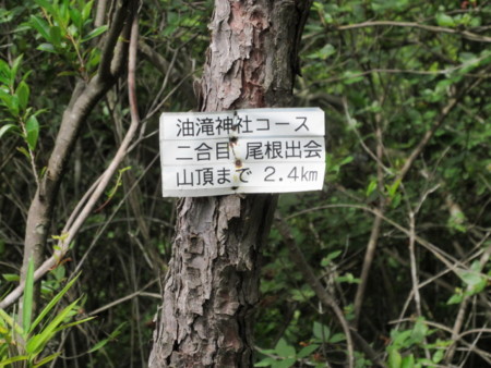 f:id:settsuya:20160612225644j:image