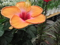 20260715080602