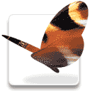 f:id:seuzo:20101230142654p:image:right f:id:seuzo:20101230142654p:image:right