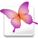 f:id:seuzo:20110101124720p:image:right f:id:seuzo:20110101124720p:image:right