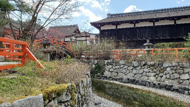 f:id:seven0831:20220303224534j:image