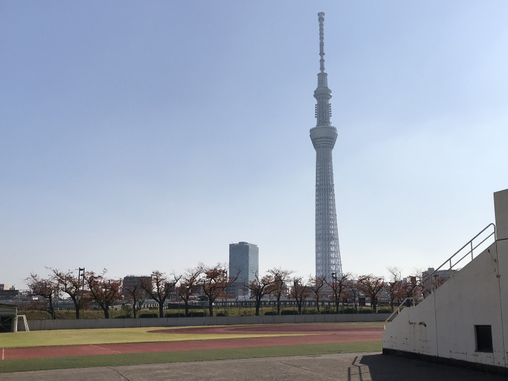 隅田川花火大会 市民協賛席 無法地帯 少年野球場 J K ブロック