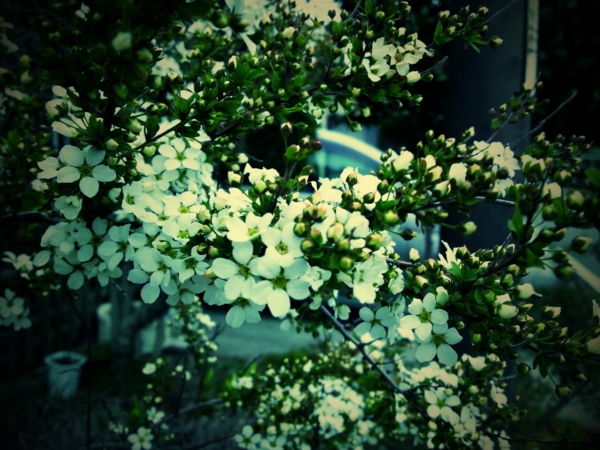 f:id:seventh_stair:20110414140350j:image