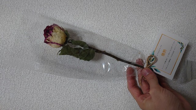 f:id:seventy_one_ten:20200323001302j:image f:id:seventy_one_ten:20200323001302j:image