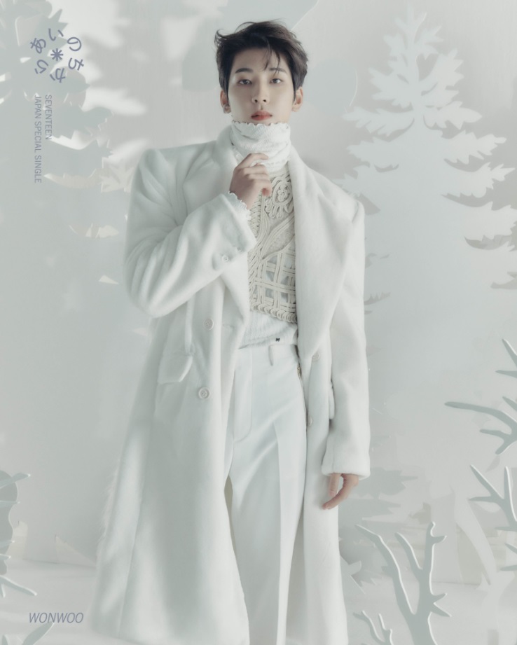 f:id:sevmin:20211110225113j:plain