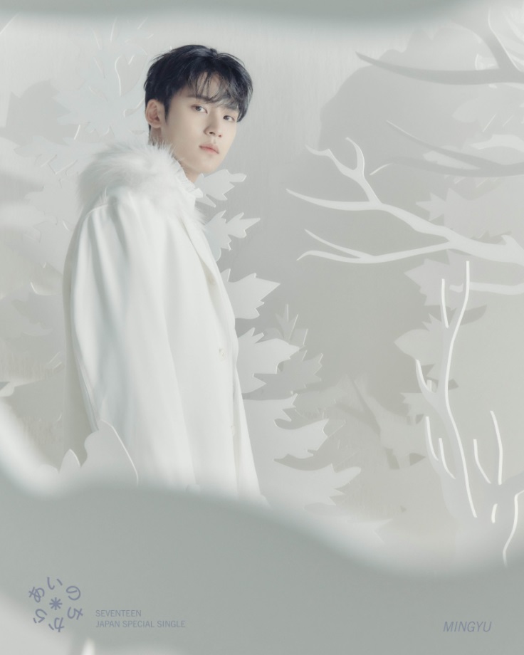 f:id:sevmin:20211110225120j:plain