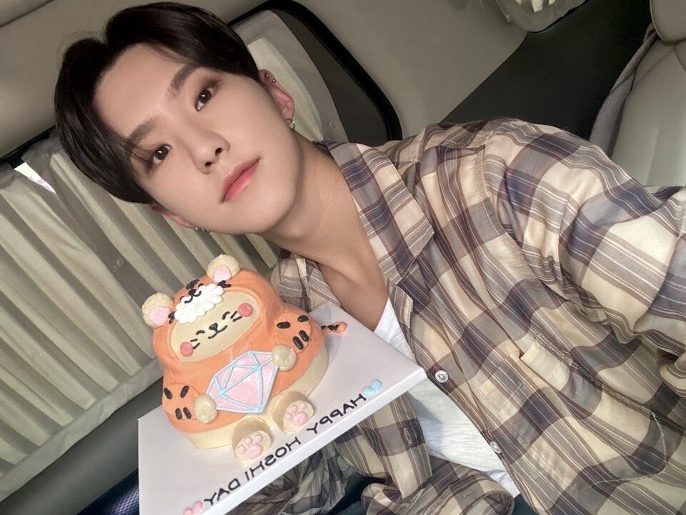 セブチが大好きなホシくん - 妄想heaven