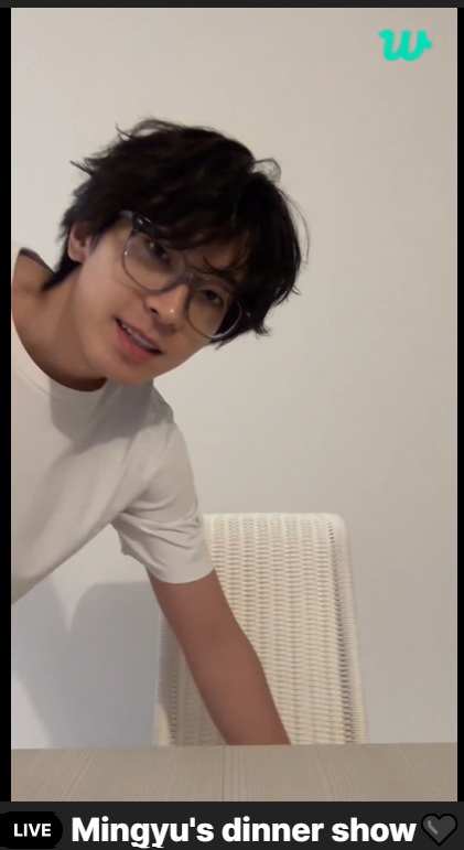 ウォヌ SEVENTEEN セブチ WONWOO ウォヌ SEVENTEEN ウォヌ編】セブチの