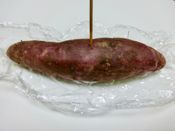 f:id:sewing8:20181017031051p:plain