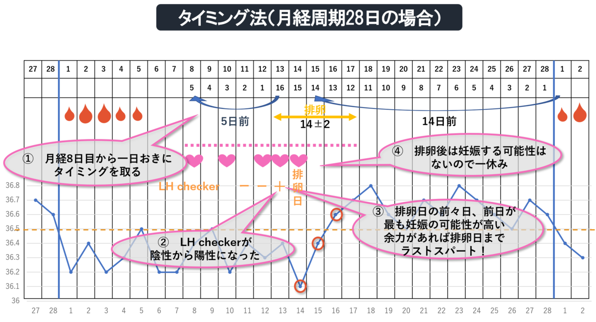 排卵と妊娠はどのように起こるのでしょうか?
