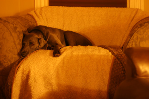 自分の失敗を許せず自分を責め続けてしまうとき