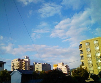 20071017065504.jpg