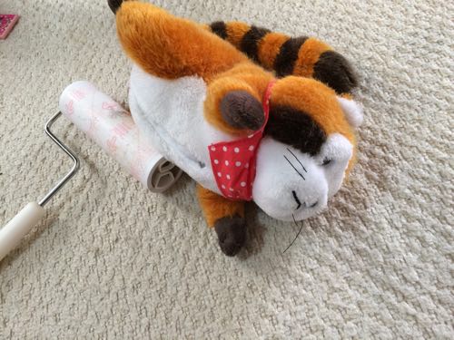 捕獲されたラスカル