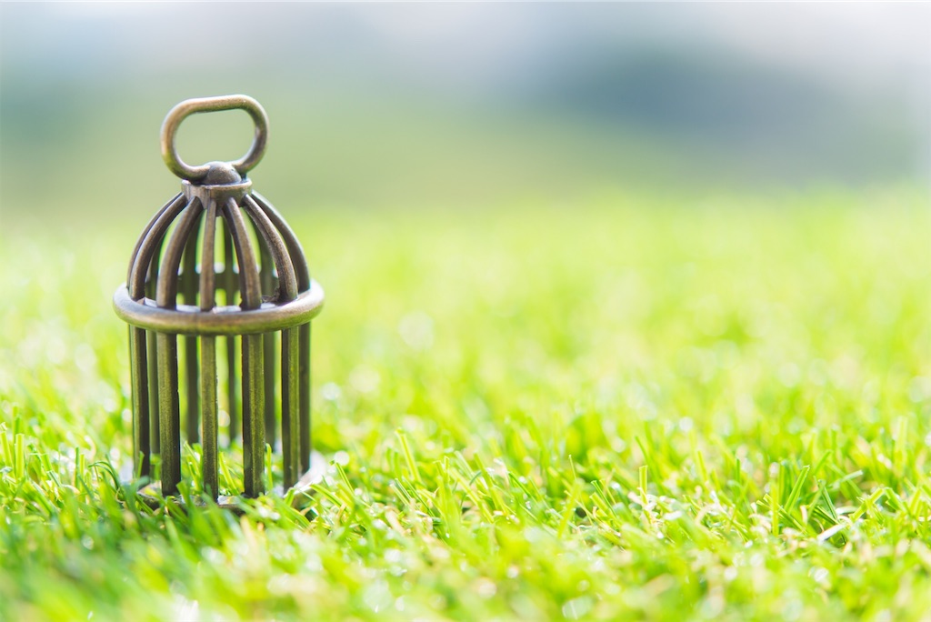 f:id:sexybozu:20190728173618j:image f:id:sexybozu:20190728173618j:image