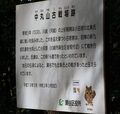 20241024162944