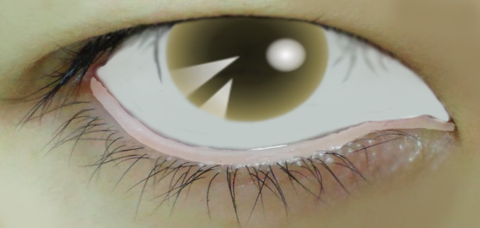イメージ 6