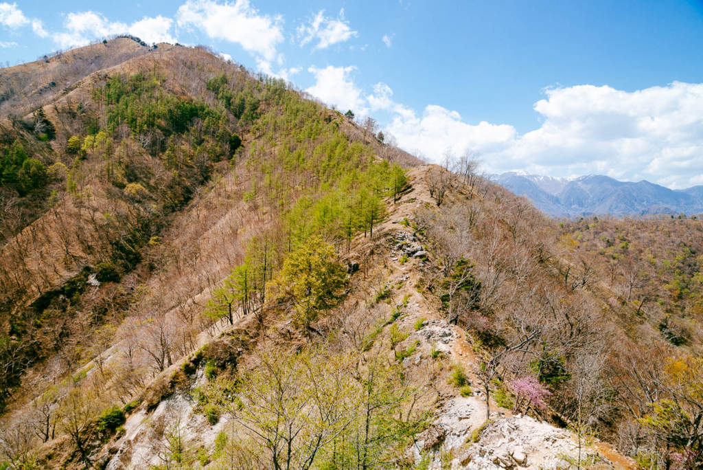 f:id:sfTKL:20180516095959j:plain f:id:sfTKL:20180516095959j:plain