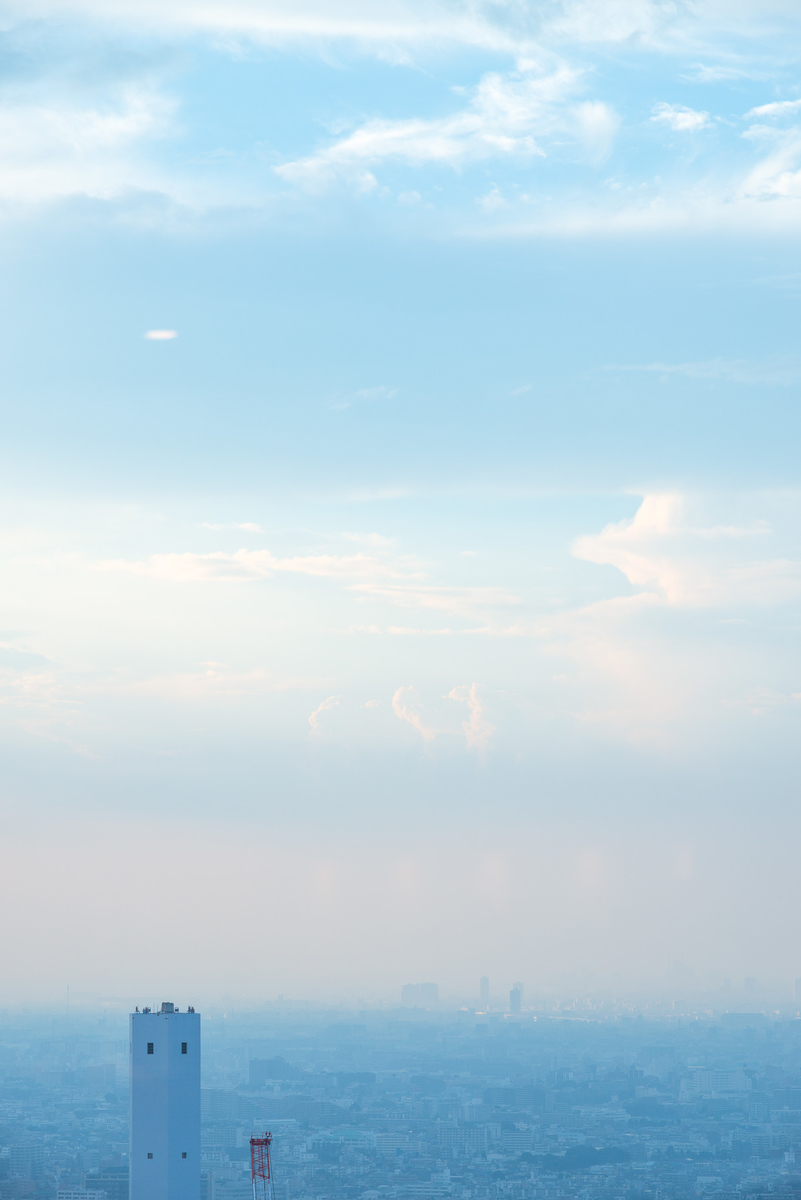 f:id:sfTKL:20191231183103j:plain f:id:sfTKL:20191231183103j:plain