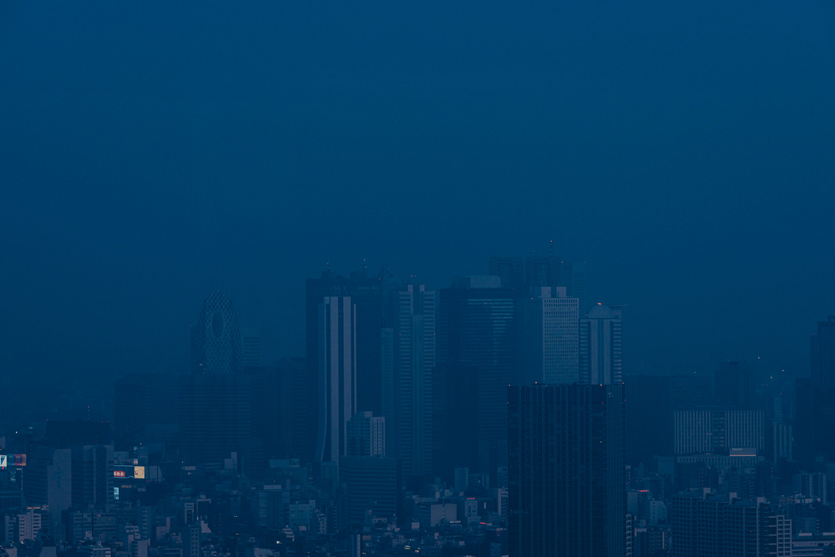 f:id:sfTKL:20191231183236j:plain f:id:sfTKL:20191231183236j:plain