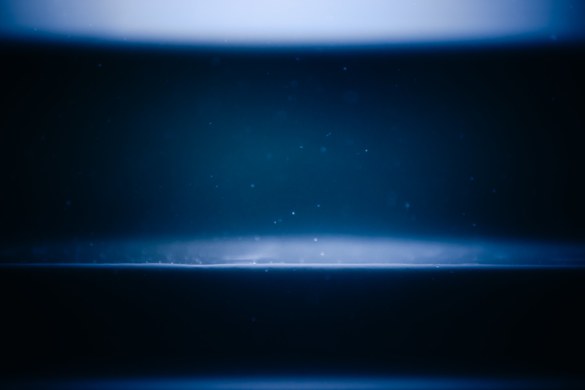 f:id:sfTKL:20191231185523j:plain f:id:sfTKL:20191231185523j:plain