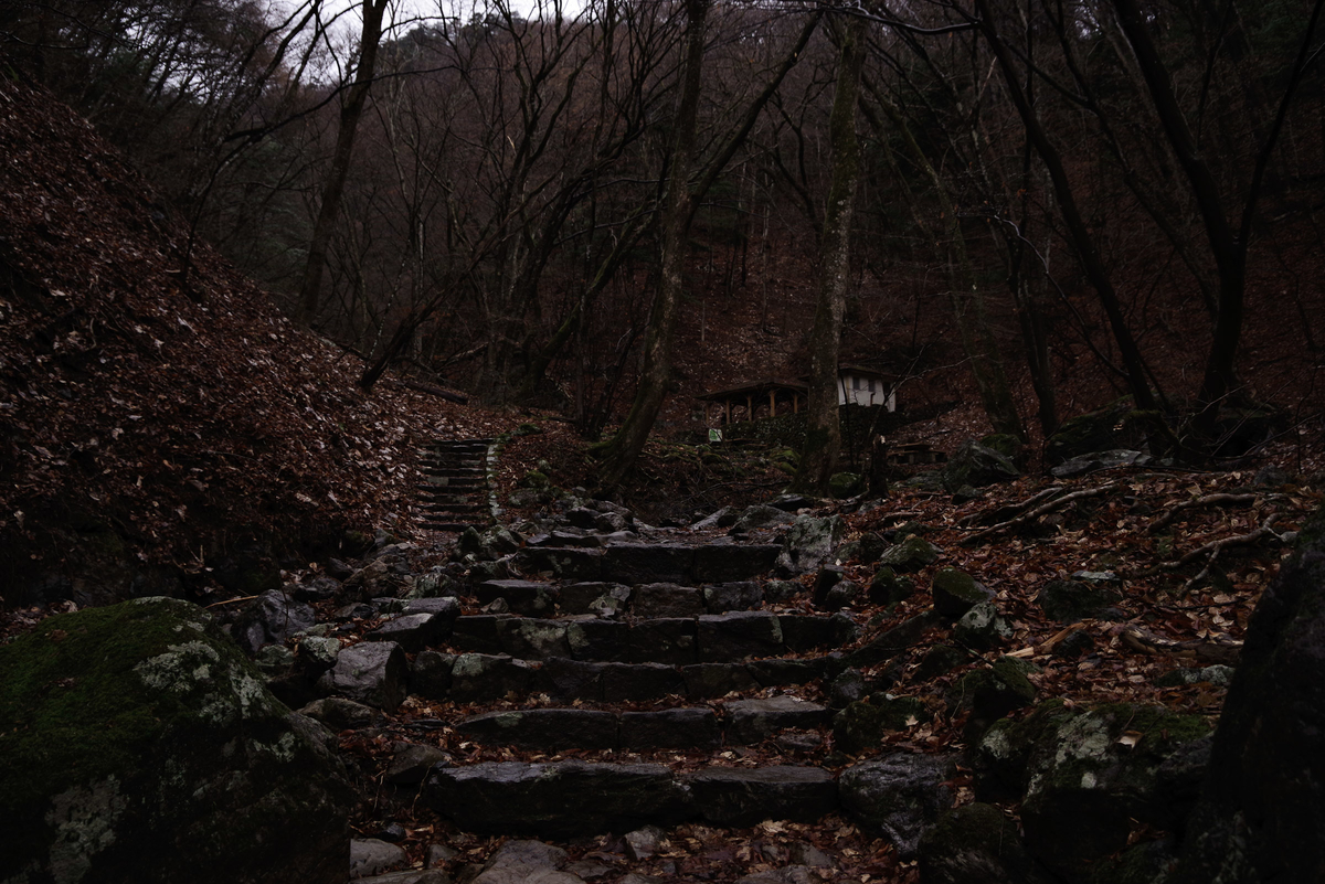 f:id:sfTKL:20200321103403j:plain f:id:sfTKL:20200321103403j:plain