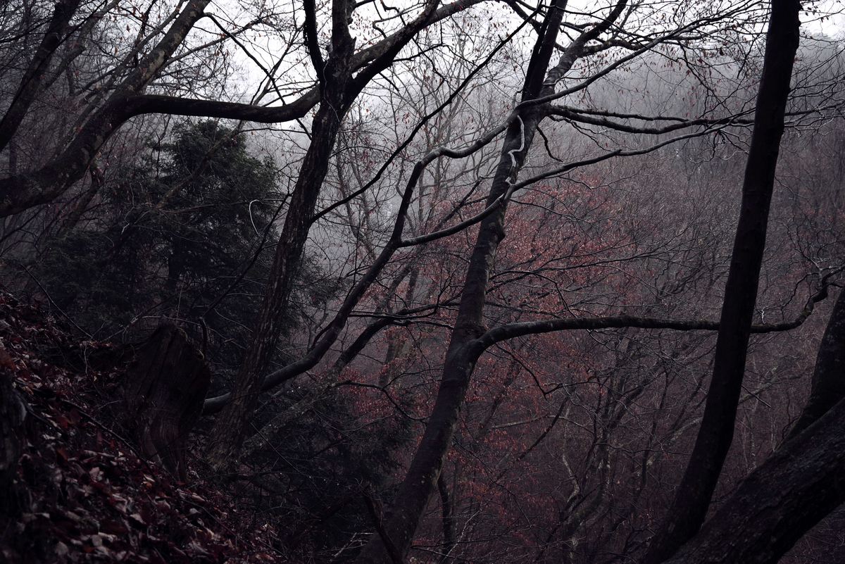 f:id:sfTKL:20200321104300j:plain f:id:sfTKL:20200321104300j:plain
