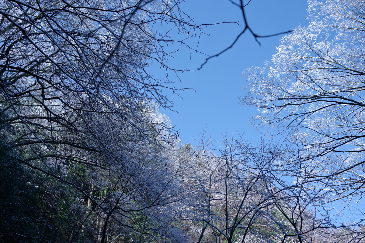 f:id:sfTKL:20200411211737j:plain f:id:sfTKL:20200411211737j:plain