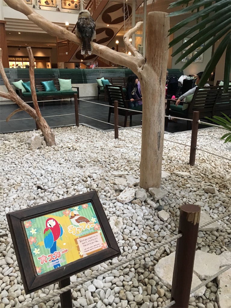 f:id:sfcsapporo:20180220143818j:image f:id:sfcsapporo:20180220143818j:image