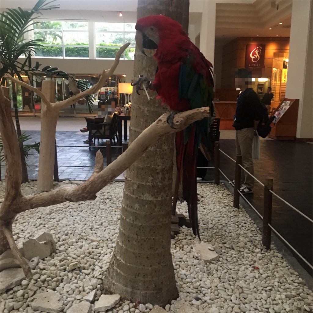 f:id:sfcsapporo:20180220144117j:image f:id:sfcsapporo:20180220144117j:image