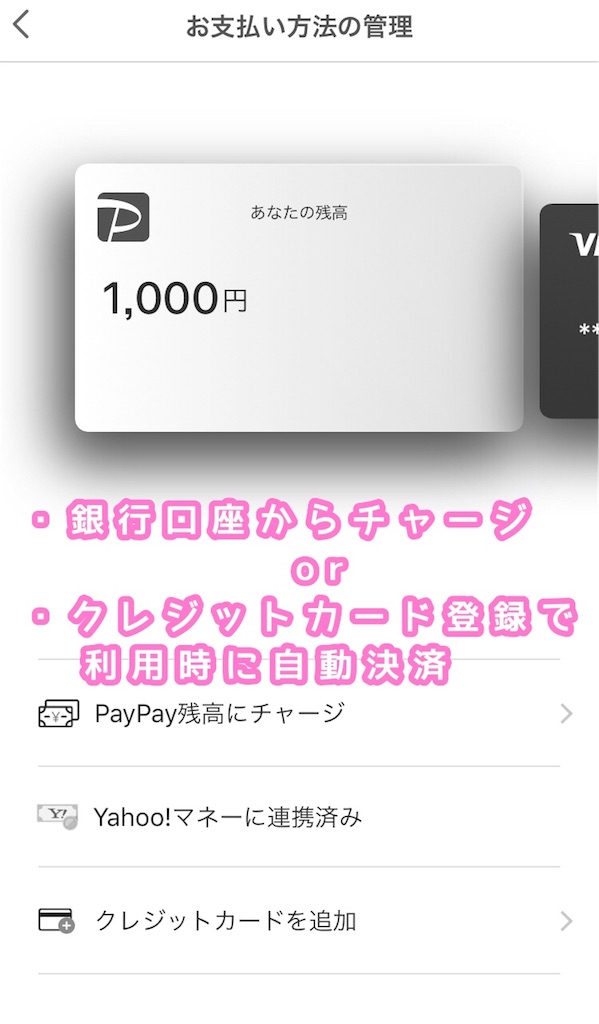 f:id:sfcsapporo:20181213215909j:image