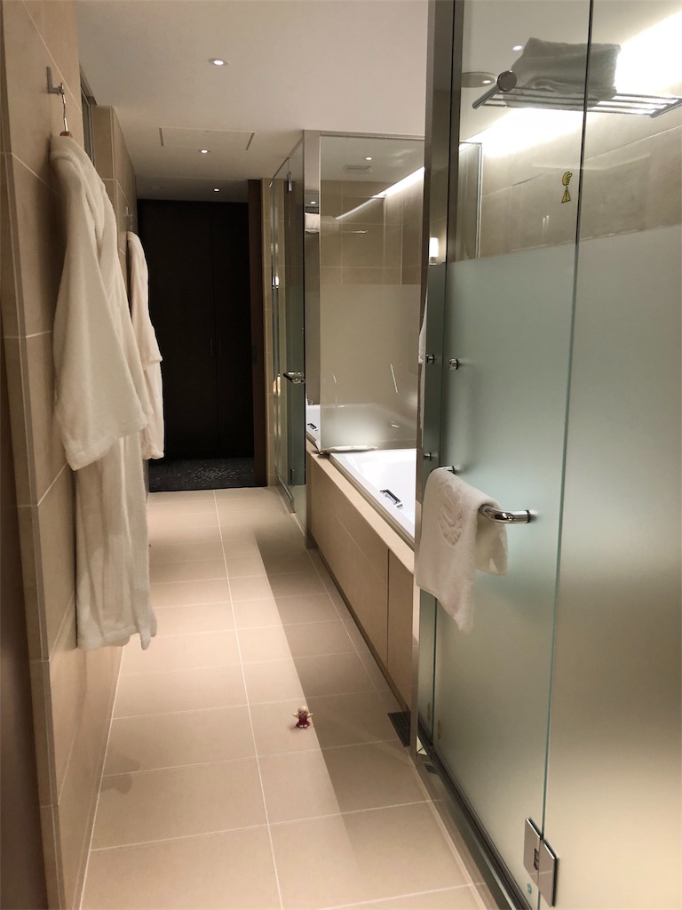 f:id:sfcsapporo:20181231230128j:image f:id:sfcsapporo:20181231230128j:image