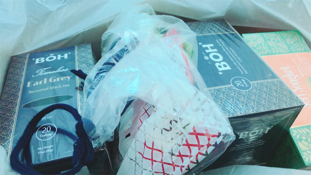 f:id:sfcsapporo:20190112145330j:image