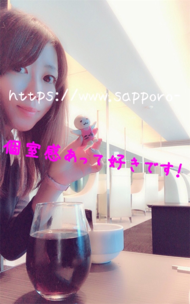 f:id:sfcsapporo:20190225051412j:image
