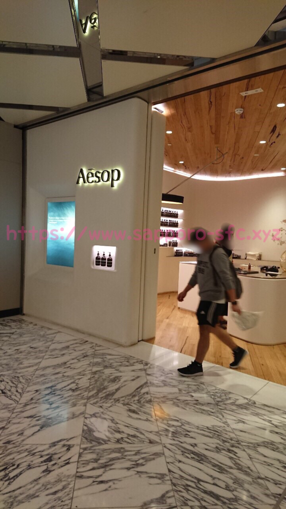 f:id:sfcsapporo:20190313020641p:plain