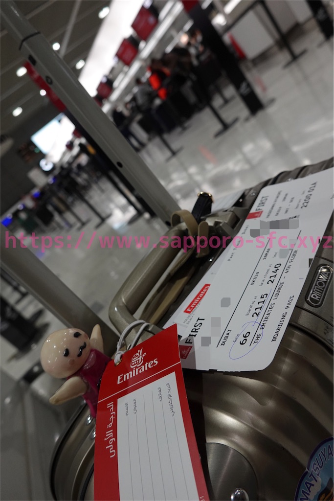 f:id:sfcsapporo:20190413154906j:image