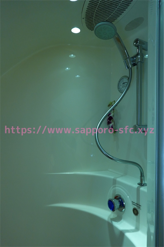 f:id:sfcsapporo:20190414130200j:image f:id:sfcsapporo:20190414130200j:image
