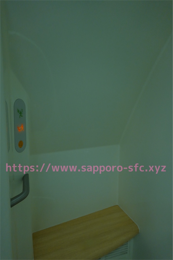 f:id:sfcsapporo:20190414130232j:image f:id:sfcsapporo:20190414130232j:image