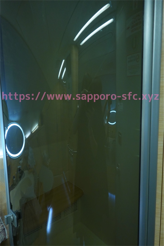 f:id:sfcsapporo:20190414130334j:image f:id:sfcsapporo:20190414130334j:image