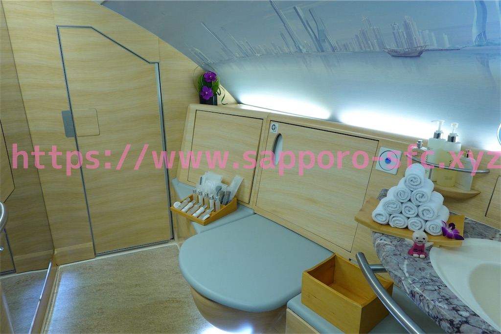 f:id:sfcsapporo:20190414130515j:image f:id:sfcsapporo:20190414130515j:image
